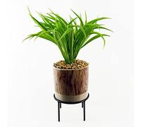 Leaf Design UK - Planta de follaje Artificial Realista con Maceta, Maceta de cerámica, 35 cm