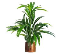 Leaf Design UK - Planta de follaje Artificial Realista con Maceta, Maceta de Cobre de bambú, 65 cm