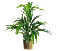 Leaf Design UK - Planta de follaje Artificial Realista con Maceta, Maceta Dorada de bambú, 65 cm