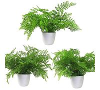 Leaf Design UK - Plantas Artificiales realistas en Maceta