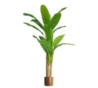 Leaf Design UK - Plantas Tropicales Artificiales y árboles con macetas de Metal, Verde, 180 cm