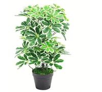 Leaf Hoja Artificial Schefflera Arboricola Planta (árbol del Paraguas) Maceta de plástico Negro, arbusto Ligero, 55 cm