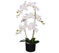 Leaf Hoja Realista orquídeas Artificiales diseño UK (60 cm Grande), 65 cm