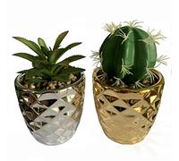 Leaf Juego de Dos macetas de cerámica con Plantas suculentas Artificiales, Plata y Oro, 15 cm