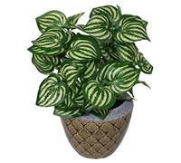 Leaf LEAF-7035 Hojas de 45 cm Artificiales Estilo sandía