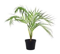 Leaf LEAF-7084 Planta Artificial de Palmera 50 cm, 50cm