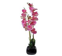 Leaf LEAF-7360 Hoja de orquídea Artificial, Materiales Combinados Materiales Mixtos., Rosa Claro Negro, 70 cm