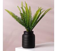 Leaf Macetas de cerámica para Interiores de 14 cm, Color Negro