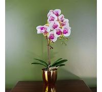 Leaf Orquídea arlequín Artificial de 48 cm, Color Rosa con Maceta Dorada