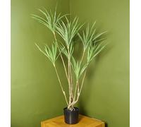 Leaf Palmera Tropical Artificial Realista
