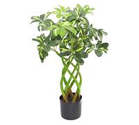 Leaf Planta Artificial de Hoja perenne Arboricola