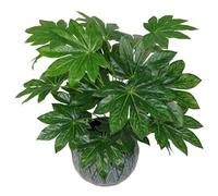 Leaf Planta Artificial Japonesa de aralia de Hoja de 60 cm, Maceta de plástico Negra