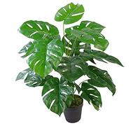 Leaf Planta Artificial Realista de Queso Monstera de 60 cm, AZ-Cheese