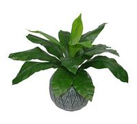 Leaf Planta de Helecho Artificial de Hoja de plástico Negro, 50 cm, Nido de pájaro estándar