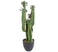 Leaf Plantas Artificiales Tropicales de diseño, 75 cm, Cactus de 75 cm