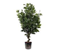 Leaf Plantas Artificiales Tropicales en macetero de Metal, Materiales Mixtos, Verde Ficus Twist Multicolor, 110 cm