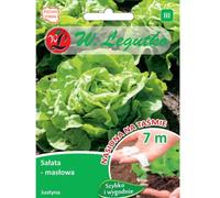 Lechuga Justyna, cinta de 7 m