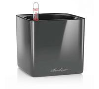 LECHUZA Cube, 14 maceta de riego automático, pequeña, maceta para interiores sin agujeros de drenaje, poliresina, H14 L14 W14 cm, color carbón brillante
