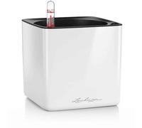 LECHUZA Cube, 16 maceta de riego automático, pequeña, maceta para interiores sin agujeros de drenaje, poliresina, H16 L17 W17 cm, color blanco brillante