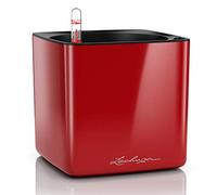 LECHUZA Cube, 16 maceta de riego automático, pequeña, maceta para interiores sin agujeros de drenaje, poliresina, H16 L17 W17 cm, rojo escarlata brillante