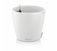 Lechuza Jardiniere Classico Color Blanco
