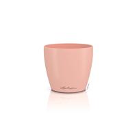 Lechuza - Maceta Classico Color 12 Deco Magnolia, Superficie Mate, diámetro 13 x 12 cm, 16674