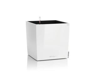 Lechuza Maceta Cube Premium 40, juego completo, blanco brillante