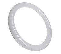 LED ATOMANT Tubo LED Circular G10 225mm 12W, Color Blanco Frio (6500K), Sin Instalación, Tubo Redondo Cocina