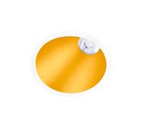Ledkia Foco Downlight LED 9W / 12W Cónico inclinación 20º Areni Corte Ø 100 mm 3000K Negro Blanco Cálido 12 W 4000k golden white neutral 12 w