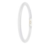 Tubo LED T5 FC 22 EXTERNO 11,6 W 840 2GX13 4099854300820
