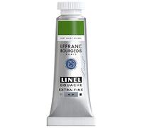 Lefranc Bourgeois Linel - Escoba extra-Fine (14 ml), color verde Saint Michel Serie 1 301208