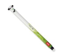 Legami - Bolígrafo de gel borrable, punta esférica para eliminar la tinta sin consumir la hoja, Tinta negra termosensible, diámetro de la punta 0,7 mm, Tema Panda