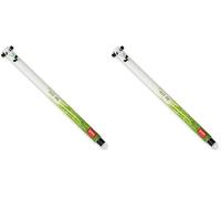 Legami - Bolígrafo de gel borrable, punta esférica para eliminar la tinta sin consumir la hoja, Tinta negra termosensible, diámetro de la punta 0,7 mm, Tema Panda (Paquete de 2)
