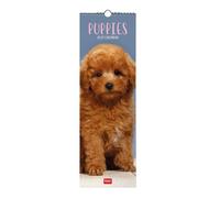 calendario 2027 pared 16x49 puppies legami