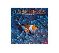 calendario 2027 pared 30x30 under the sea legami