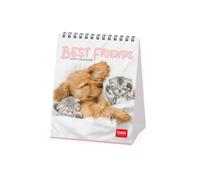calendario 2027 sobremesa best friends legami