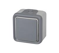 Legrand 191502 Plexo - Pulsador estanco de superficie, resistente al agua (IP55), color gris
