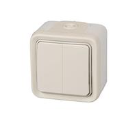 Legrand, 191518 Plexo - Interruptor de pared doble, pulsador estanco de superficie de la gama Plexo, interruptor exterior doble, resistente al agua (IP55), color blanco