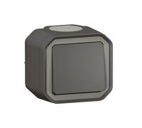 Legrand - Interruptor o conmutador 10A - Plexo - Estanco IP55 - Control de iluminación completo listo para instalar - Montaje en superficie - Antracita - 069761LE