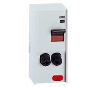 Legrand LEG93002 - Interruptor (con cartucho fusible, 2 fases, con piloto, máximo 4600 W), color gris