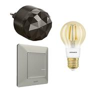 LEGRAND, Paquete de inicio Smart Lighting, bombilla inteligente regulable (WiFi), control por voz (Alexa, Apple, Google), bombilla vintage, plug'n'play, Valena Life w. Netatmo, color: aluminio, 199309