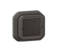 LEGRAND, Plexo 069836L - Interruptor doble para el hogar con conexión húmeda para el hogar, transmisor de pared, interruptor de pared, interruptor de encendido y apagado, tecnología sin batería,