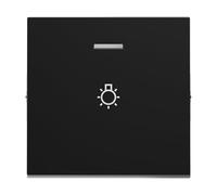 LEGRAND, SEANO 765316 - Interruptor basculante con símbolo de luz para interruptor iluminado, pulsador e interruptor de cruz, cubierta de interruptor, placa basculante, color antracita lacado
