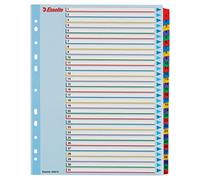 LEITZ 100210 - Indice de proyectos Borra y Re-escribe DIN A4 1-31