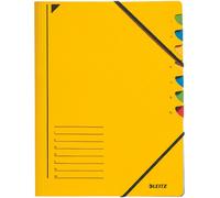 Leitz 39070015 amarillo carpeta - archivos (amarillo, A4, elástico, hoja, 245 mm