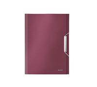 LEITZ 39570028 - Carpeta acordeón STYLE PP con 6 separadores más 1 extra ancho DIN A4 color rojo granate