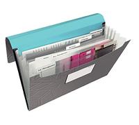Leitz 39970089 - Carpeta acordeón URBAN CHIC PP con 6 separadores DIN A4 color gris oscuro