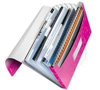 Leitz 4589 WOW carpeta acordeón rosa metalizado (6 compartimentos)