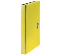 Leitz 46240015 caja archivador 250 hojas amarillo polipropileno (pp)