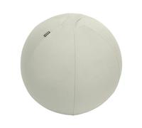 Leitz Balón de asiento Active 55 cm Gris